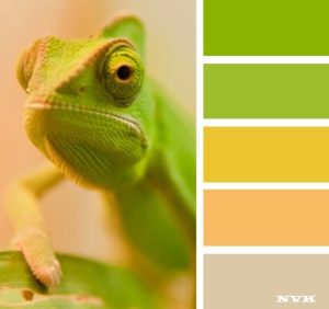 Psychology : CHAMELEON. Color Palette.... - InfographicNow.com | Your ...