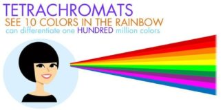 Psychology : Psychology : Super Vision Tetrachromats – people who see 100 million colors in total and 10 c…
