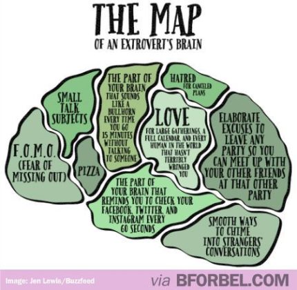 Psychology : The Map Of An Extrovert’s Brain…... - InfographicNow.com ...