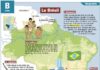 Educational infographic : Le Brésil