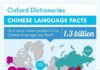 Educational infographic : Educational infographic : Educational infographic : Chinese Language Infographic More…