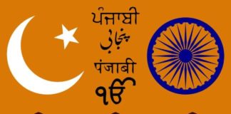 Educational infographic : Educational infographic : Punjabi Language – Facts & Infographic