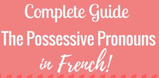 Educational infographic : Infographic on French possessive pronouns