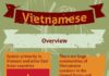 Educational infographic : Infographic of Vietnamese Language.
