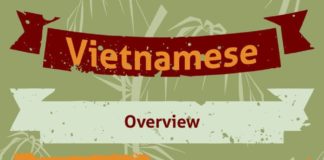 Educational infographic : Infographic of Vietnamese Language.