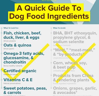 Food infographic - ... - InfographicNow.com | Your Number One Source ...