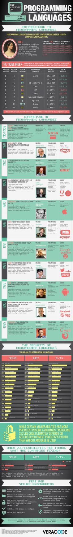 educational-infographic-a-brief-history-of-computer-programming