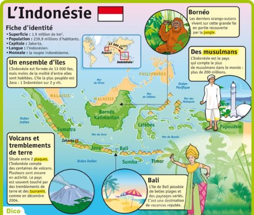 Educational infographic : Fiche exposés : L'Indonésie - InfographicNow ...