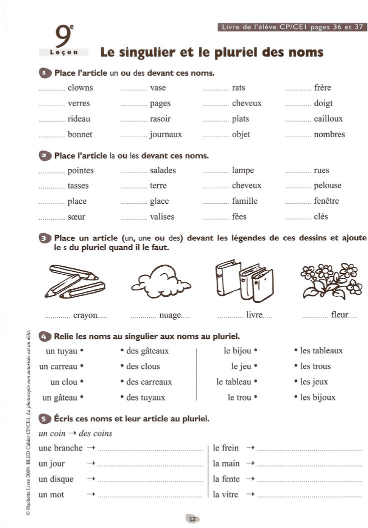 educational infographic   grammaire cm2 exercices a imprimer