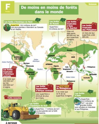 Educational infographic  Mon Quotidien, le seul journal d'actualité