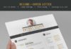 Business infographic : Business infographic : Clean cut resume with some style to it…