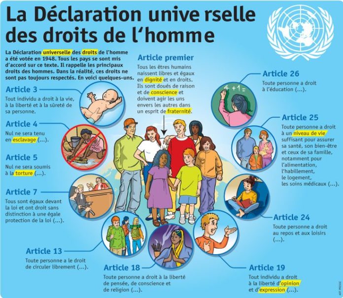 Educational infographic Fiche exposés La Déclaration universelle