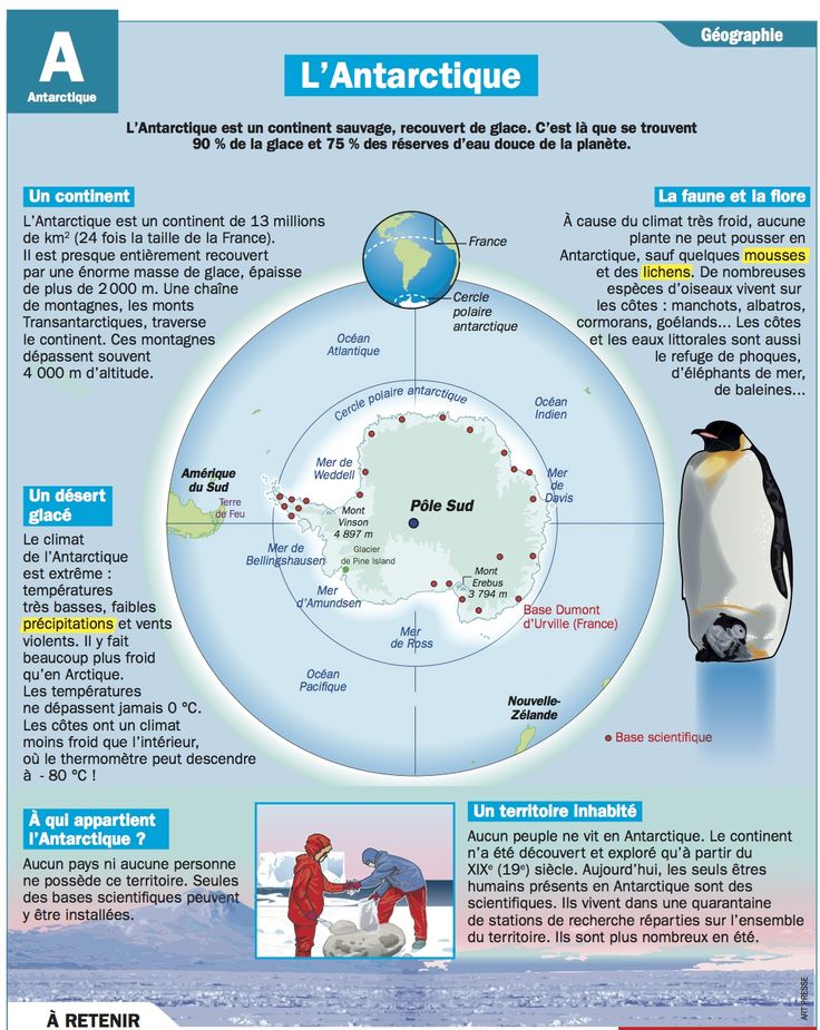 Educational infographic : Fiche exposés : L’Antarctique ...