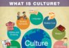 Educational infographic : Culture Observation