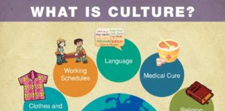 Educational infographic : Culture Observation