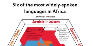 Educational infographic : African languages infographic