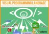 Educational infographic : Visual Programming Language Infograph and Introduction