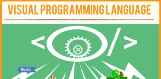 Educational infographic : Visual Programming Language Infograph and Introduction