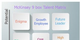 Management : Management : Problems with McKinsey 9 box talent matrix