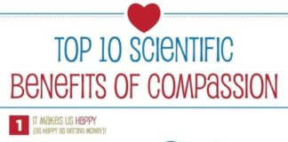 Psychology : Psychology : 26 Charts That Will Actually Make You A Happier Person