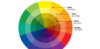 Psychology : Learn the Basics of Color Theory to Know What Looks Good