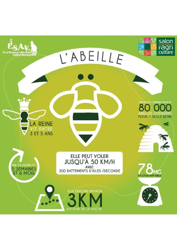 Educational infographic : Quelques chiffres sur les abeilles et la ...