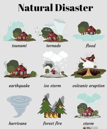 Educational infographic : The natural world Nature can refer to the ...