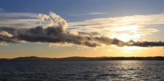 Psychology : Detached Personality