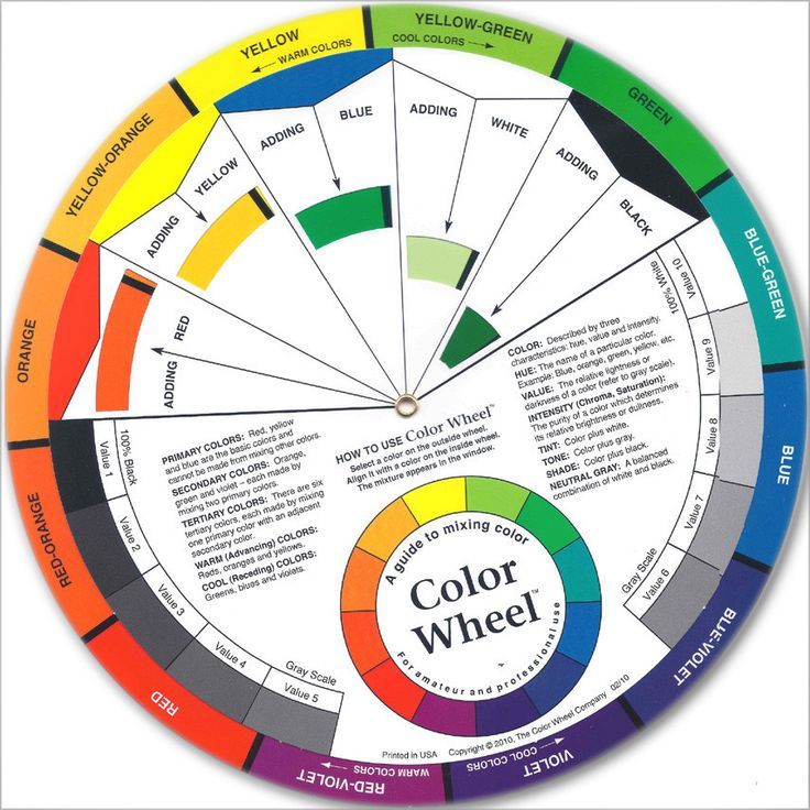Psychology : Psychology : The Color Wheel 5-1/8