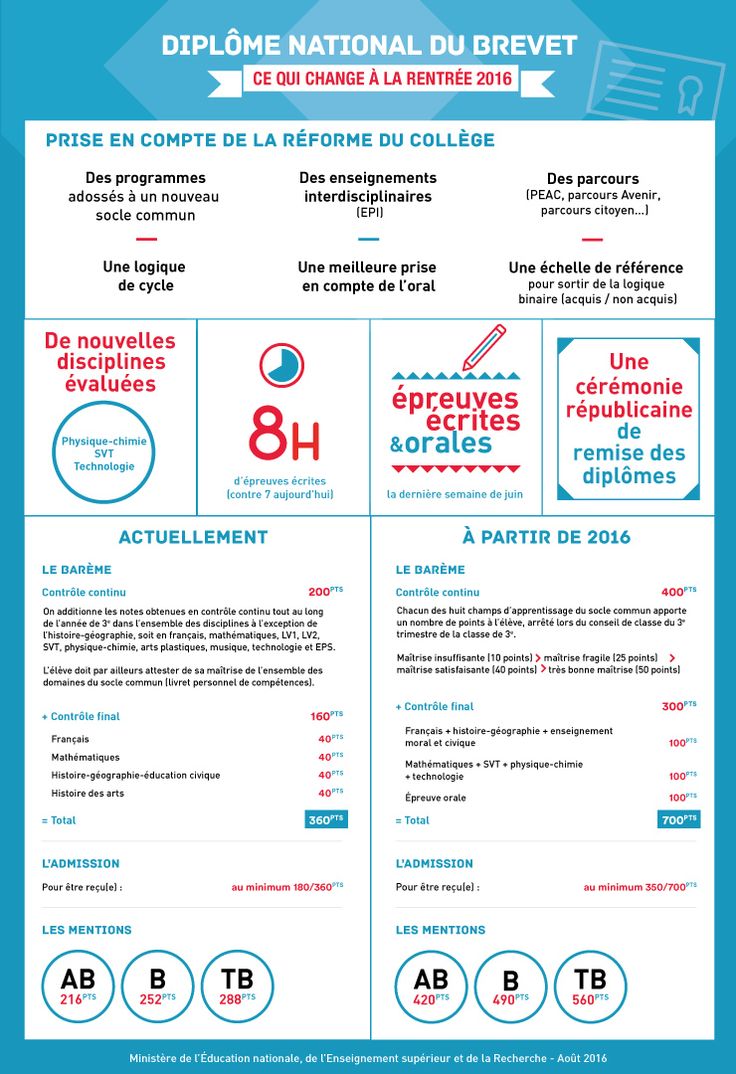 Educational Infographic Le Diplome National Du Brevet Infographicnow Com Your Number One Source For Daily Infographics Visual Creativity