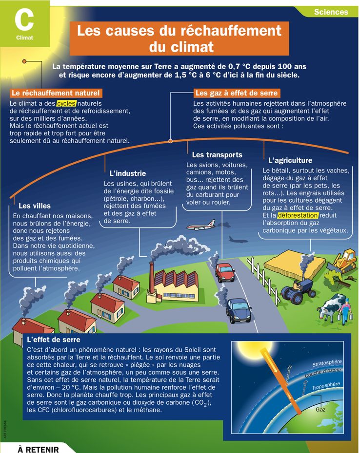 Science infographic - Les causes du réchauffement du climat ...
