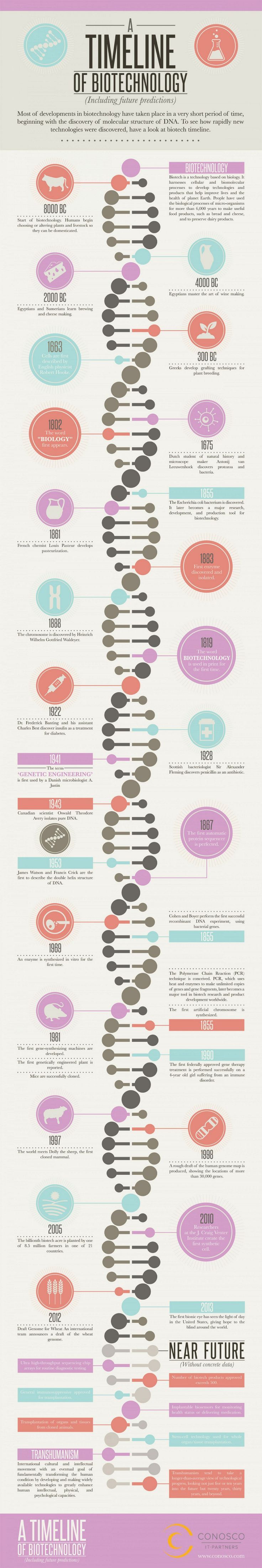 Science infographic - Science infographic - ☤ MD ☞ A Timeline of ...