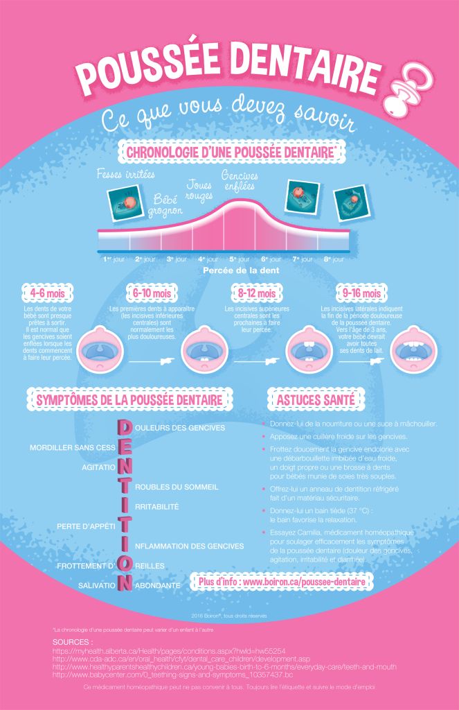 Educational Infographic Decouvrez Nos Conseils Sante Pour Soulager La Poussee Dentaire De Bebe Infographicnow Com Your Number One Source For Daily Infographics Visual Creativity