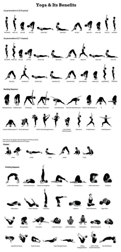 Health infographic : All basic yoga sequence in one infographic image ...