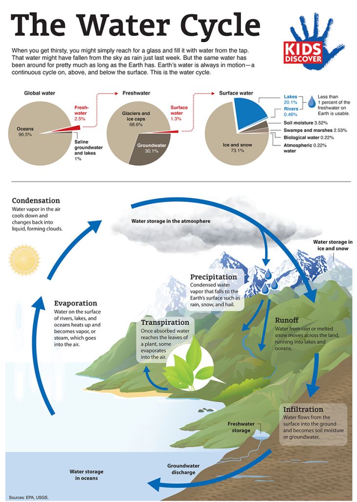 Science infographic - Ever wonder where that water you’re drinking ...