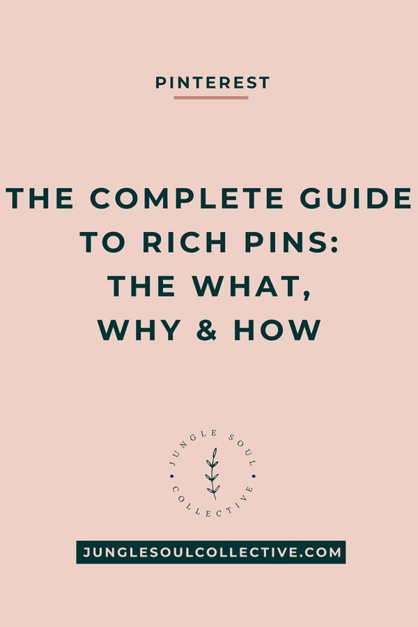 Social Media Infographic The Complete Guide To Rich Pins What Are