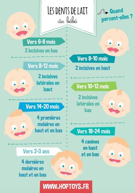 Educational Infographic Infographies Les Differentes Etapes De Bebe Infographicnow Com Your Number One Source For Daily Infographics Visual Creativity