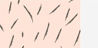 Business infographic : Creez une carte de visite qui vous démarque