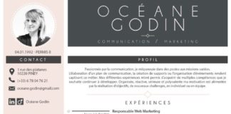 Business infographic : Curriculum Vitae