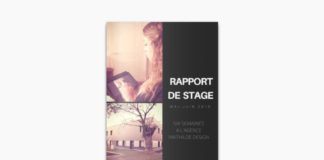 Business infographic : Rapport de stage Mathilde Design – 2016