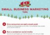 Business infographic : Small Business Holiday Marketing Tips