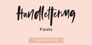 Business infographic : Typography Fonts Hand Drawn | Handlettering Fonts | Typography Fonts Handletteri…