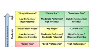 Management : Business and management infographic & data visualisation 9 box talent manageme…