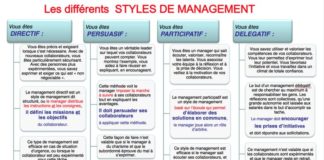 Management : Les styles de management 2