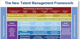 Management : Management : New Talent Management Framework in Detail
