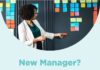 Management : New Manager? Effective Tips for Embracing Your New Role