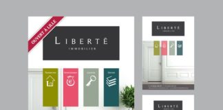 Business infographic : Annonces presse pour liberté immobilier et flyers get sushi