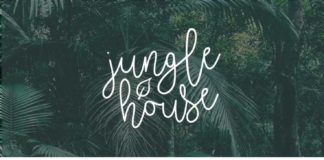 Business infographic : Branding Style Board for Jungle House | Get your own at www.bigcatcreativ… | B…