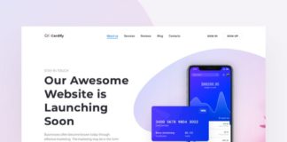 Business infographic : Cardify UI Kit – Mobile App Landing Page