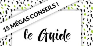 Business infographic : Guide Pinterest 2018 : 15 mégas conseils pour booster le trafic sur votre blog